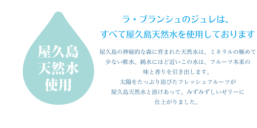屋久島天然水使用