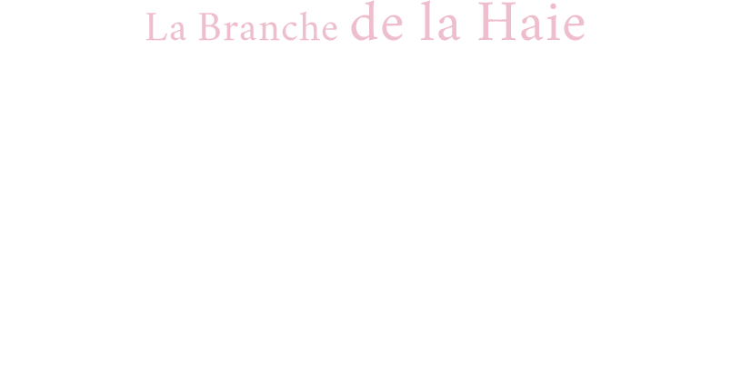 La Branche de la Haie Valentine’s Day Collection 2020
