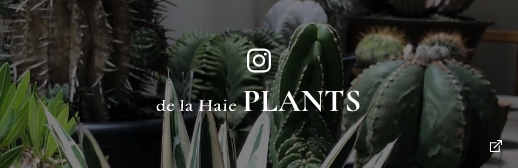 de la Haie PLANT Instagram